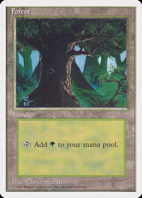 65-forest.jpg