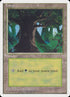 65-forest.jpg