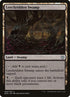 65-leechriddenswamp.jpg