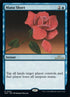 65-manashort.jpg