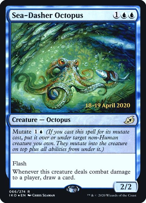 66s-seadasheroctopus.jpg