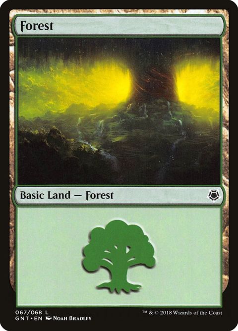 67-forest.jpg