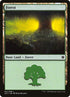 67-forest.jpg