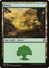 68-forest.jpg