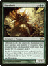 68-mycoloth.jpg