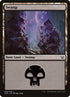 69-swamp.jpg