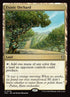 70-exoticorchard