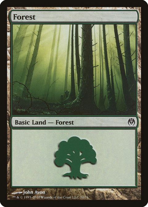 70-forest.jpg