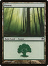 70-forest.jpg