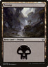 70-swamp.jpg