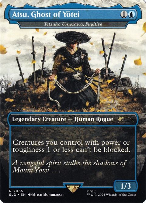 7055-tetsukoumezawafugitive