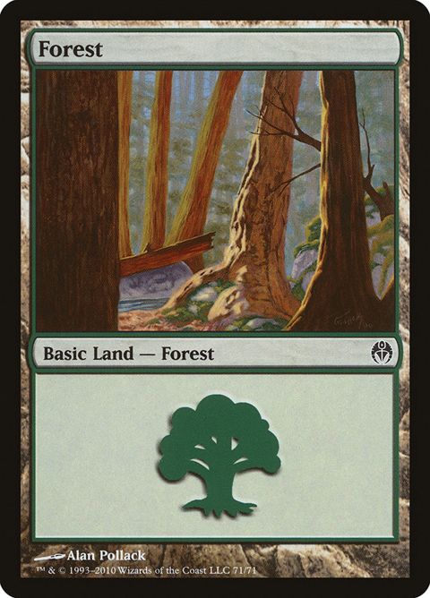 71-forest.jpg