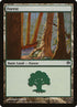 71-forest.jpg
