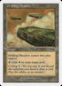72-driftingmeadow.jpg