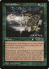 72-naturalbalance.jpg
