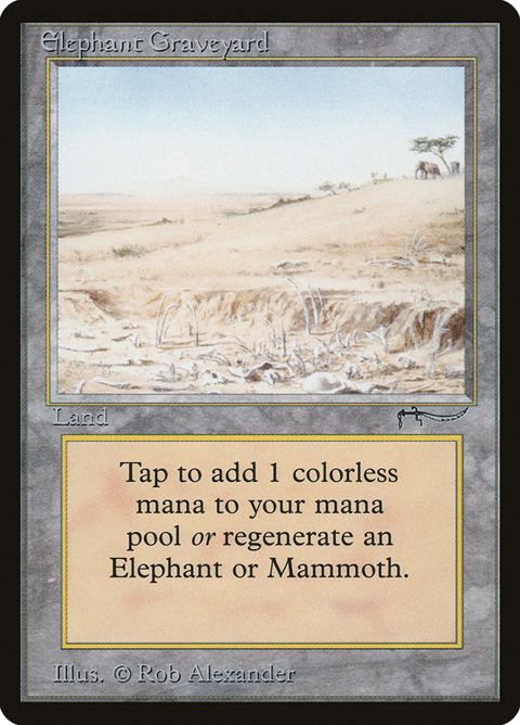 74-elephantgraveyard.jpg