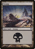 77-swamp.jpg