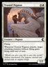 77-trustedpegasus.jpg