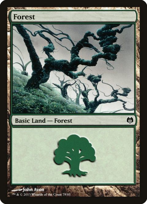 78-forest.jpg