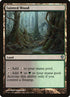 78-taintedwood.jpg