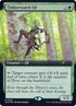 780-timberwatchelf