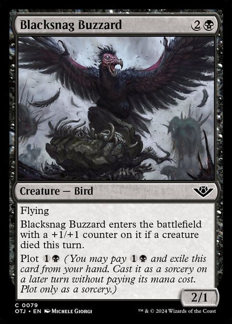 79-blacksnagbuzzard