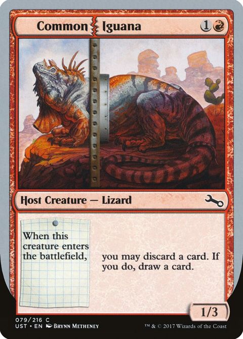 79-commoniguana.jpg