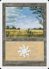 79-plains.jpg