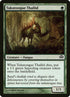 79-tukatonguethallid.jpg