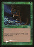 8-giantgrowth.jpg