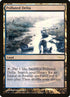8-polluteddelta.jpg