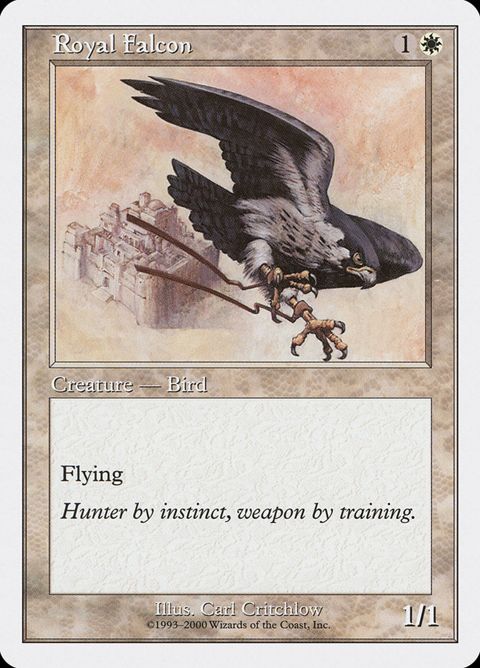 8-royalfalcon.jpg