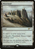8-wasteland.jpg