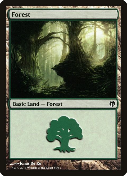 80-forest.jpg