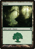 80-forest.jpg