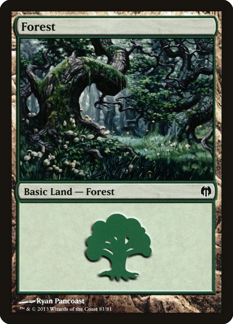 81-forest.jpg