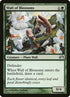 81-wallofblossoms.jpg