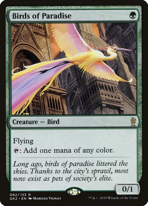 82-birdsofparadise.jpg