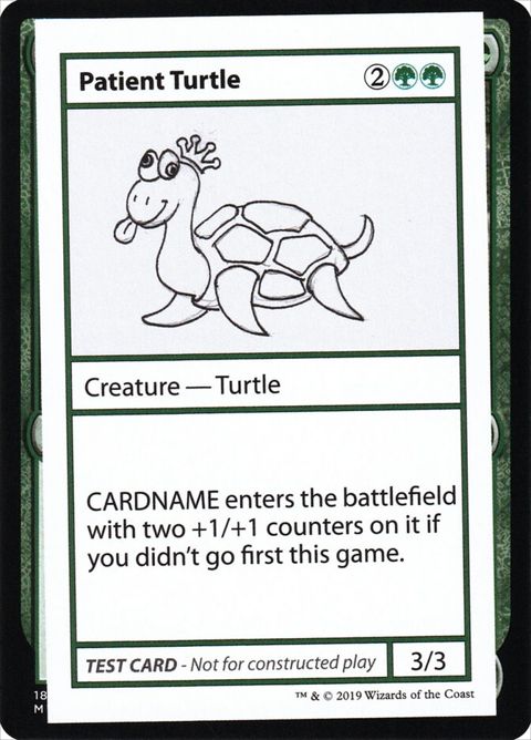 82-patientturtle.jpg