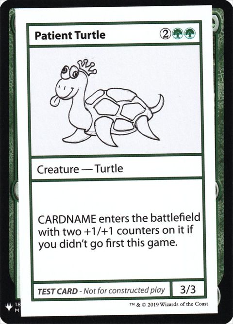 82-patientturtle.jpg