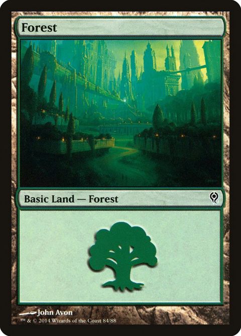84-forest.jpg