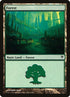 84-forest.jpg