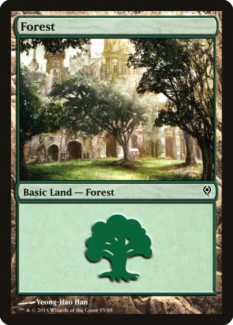 85-forest.jpg
