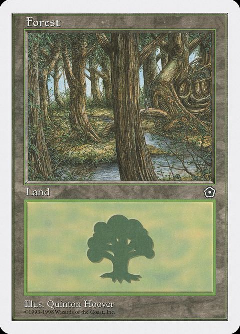 85-forest.jpg