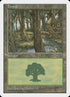 85-forest.jpg