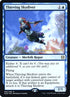 85s-thievingskydiver.jpg
