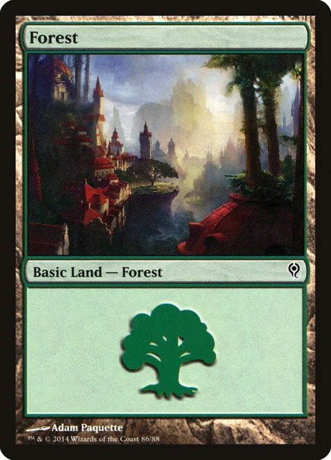 86-forest.jpg
