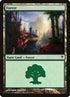 86-forest.jpg