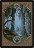 86-swamp.jpg