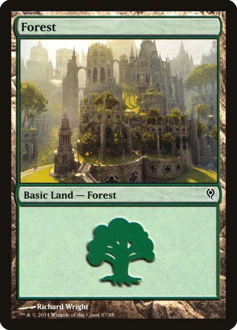 87-forest.jpg